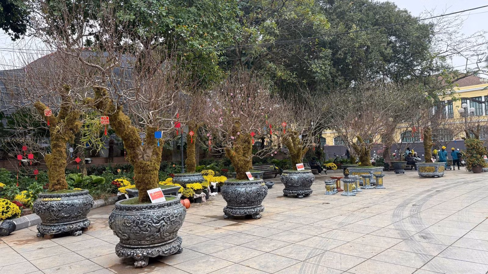 Chú thích ảnh