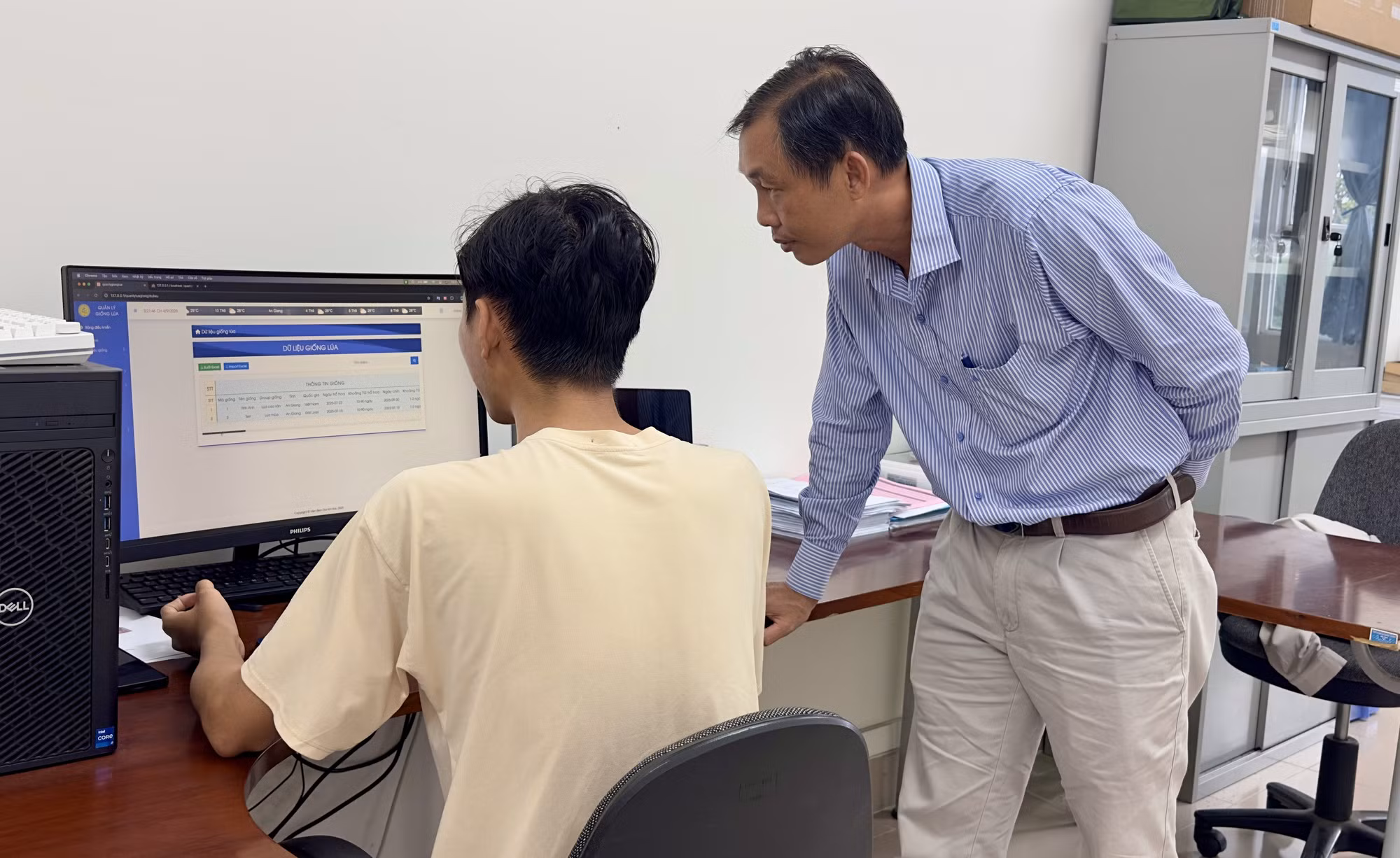 Thạc sĩ Lê Thanh Phong kiểm tra dữ liệu giống lúa trên app phục vụ công tác nghiên cứu, bảo tồn.