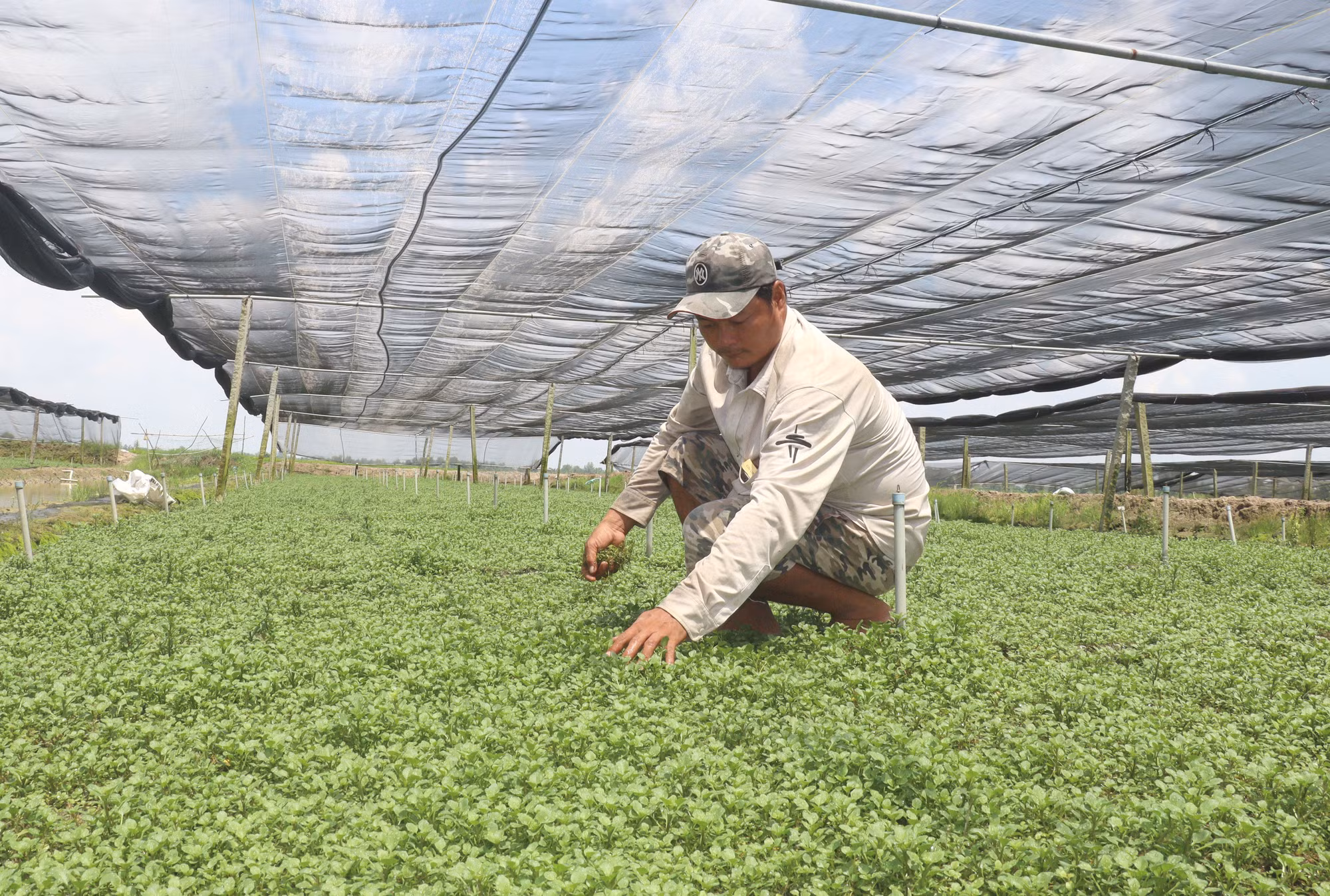 potal-vinh-long-nguon-von-tin-dung-chinh-sach-tao-be-do-giup-nguoi-dan-thoat-ngheo-6292222.jpg