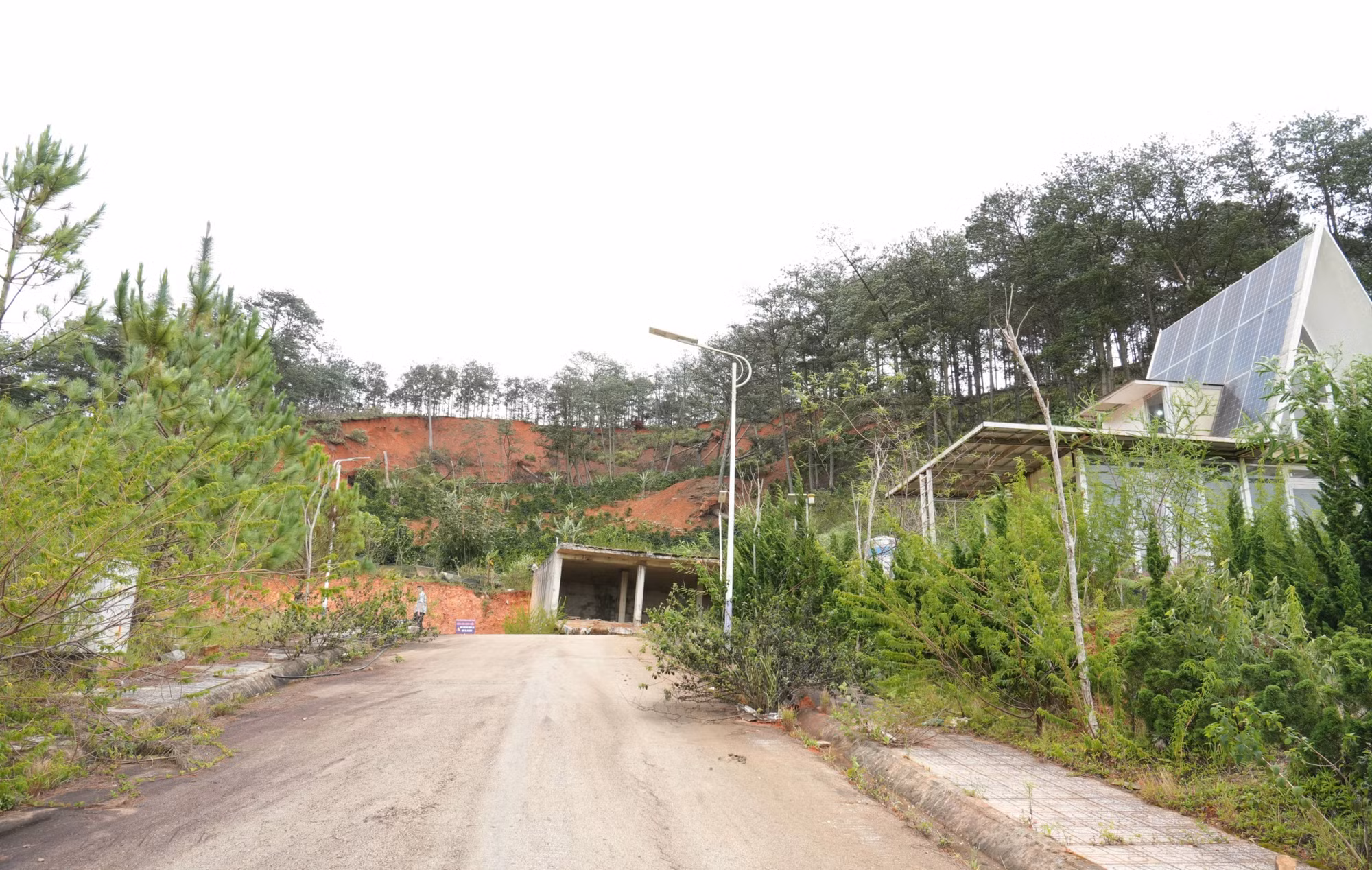 lam-dong-3.jpg
