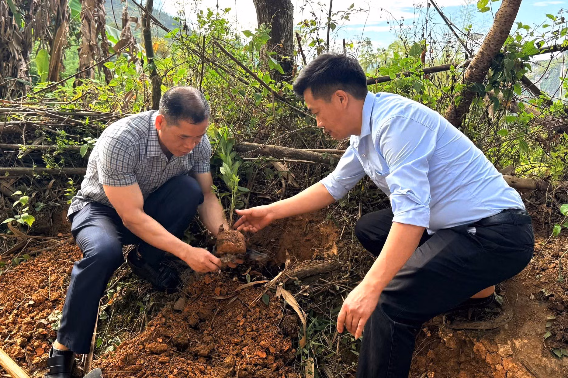 Lãnh đạo xã Lũng Cú tham gia trồng cây, xây dựng “Tuyến đường hoa” hướng tới kiến tạo thôn du lịch cộng đồng xanh, sạch, đẹp. Ảnh: Việt Anh/TTXVN phát
