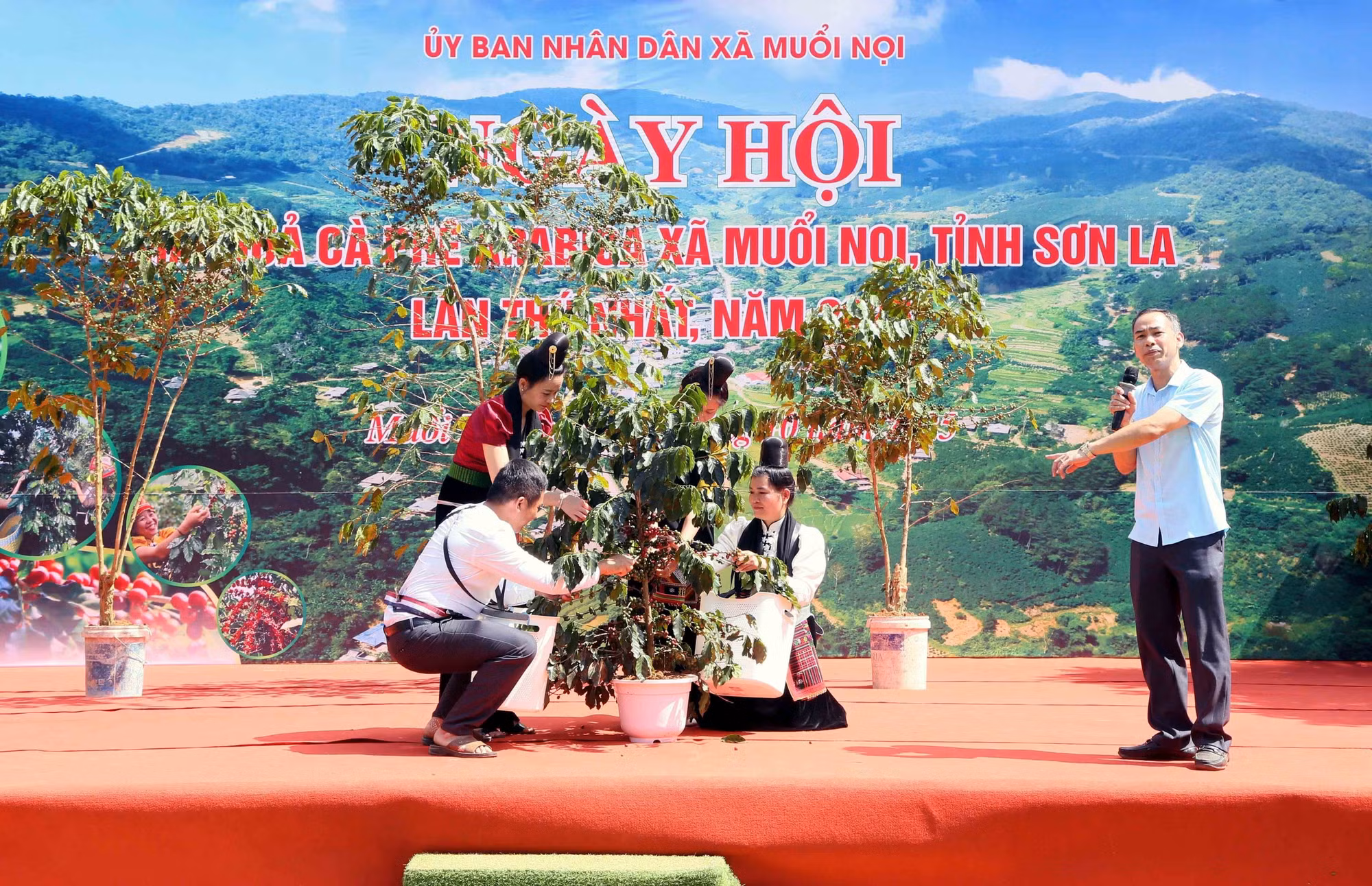 son-la-le-hoi-7.jpg