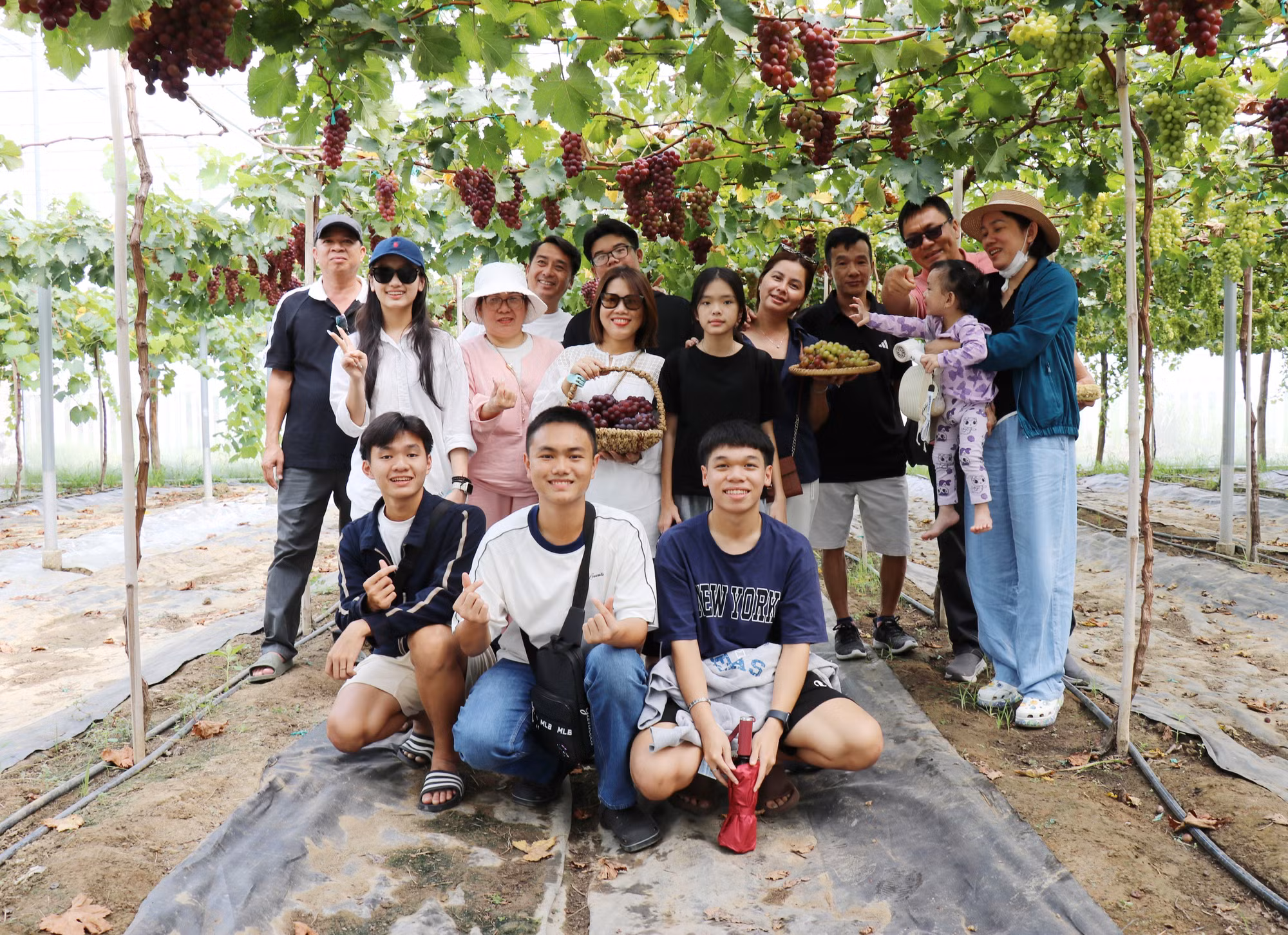 Du khách tham quan Trang trại nho Hoàng Yến (xã Ninh Phước, tỉnh Khánh Hòa).