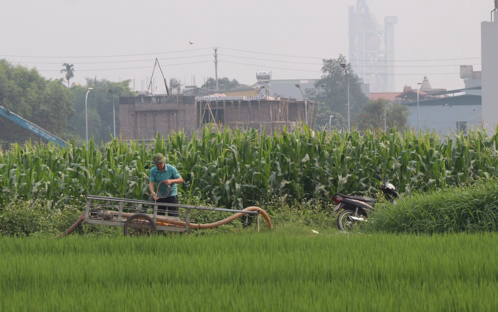 potal-tuyen-quang-nang-nong-gay-gat-anh-huong-doi-song-nguoi-dan-8693853.jpg