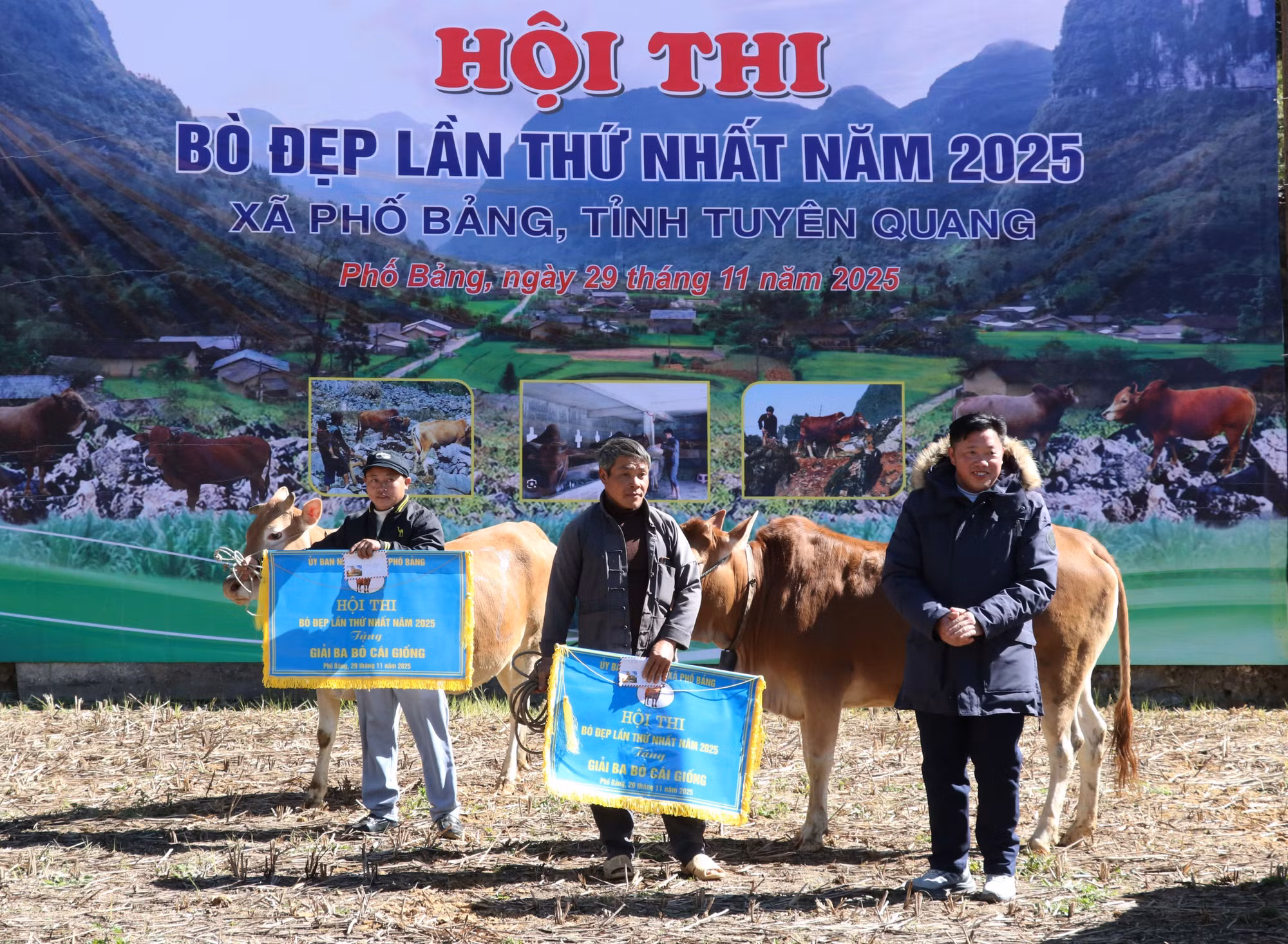 Ban tổ chức trao giải Nhì tại Hội thi Bò đẹp lần I ở Phố Bảng (Tuyên Quang).