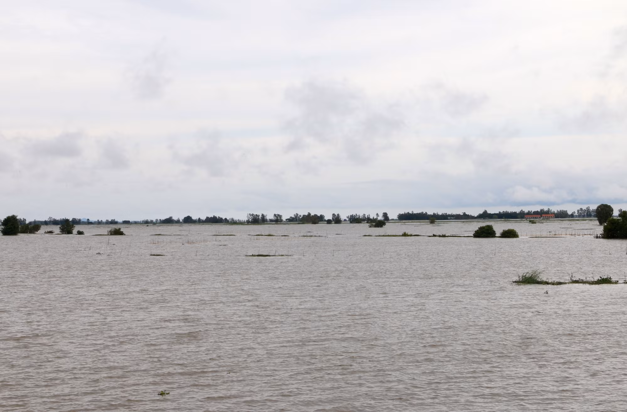 Các đối tượng buôn lậu thường lợi dụng thời điểm đêm khuya và dùng các phương tiện thủy chạy tốc độ cao để đưa hàng lậu qua biên giới.