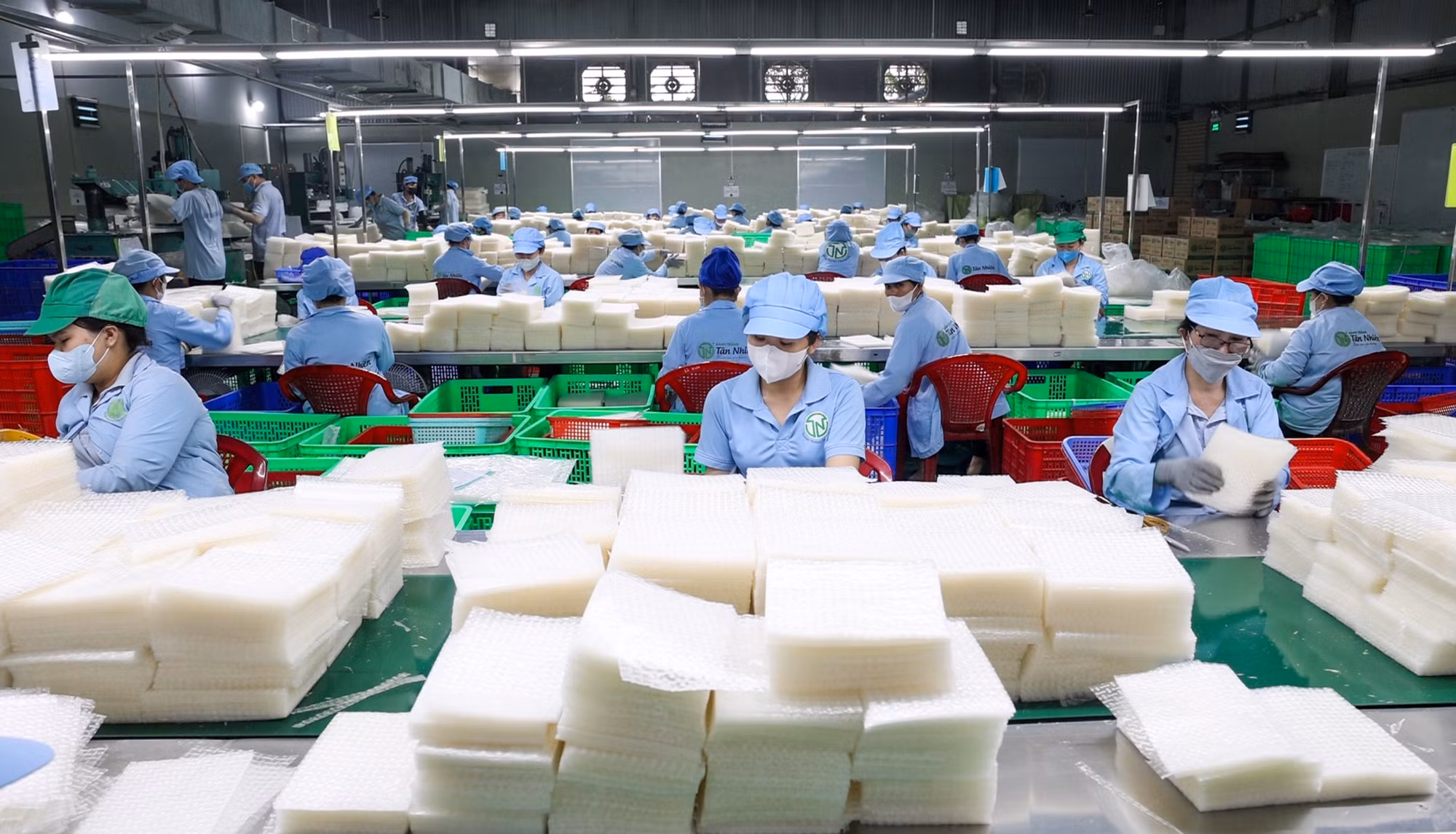 Công nhân phân loại bánh tráng siêu mỏng Tân Nhiên, sản phẩm OCOP 5 sao cấp quốc gia, đã xuất khẩu sang nhiều thị trường quốc tế như Nhật Bản, Hàn Quốc, Đài Loan.
