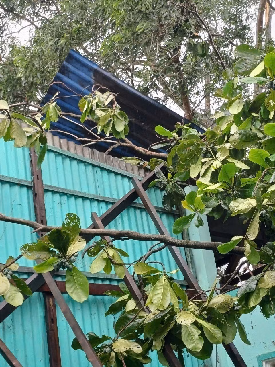 Một căn nhà của hộ dân bị ảnh hưởng bởi dông, lốc. Ảnh: TTXVN phát