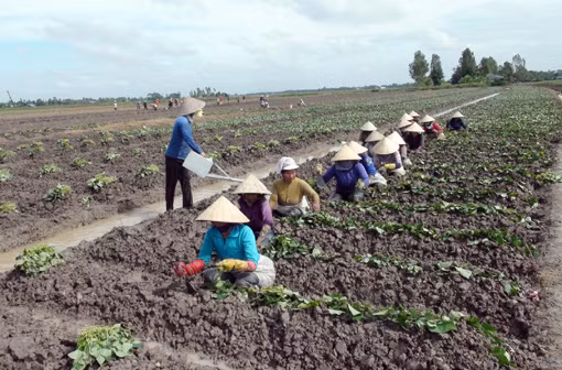 Đổi thay trên quê hương cách mạng Mỹ Lộc ảnh 2