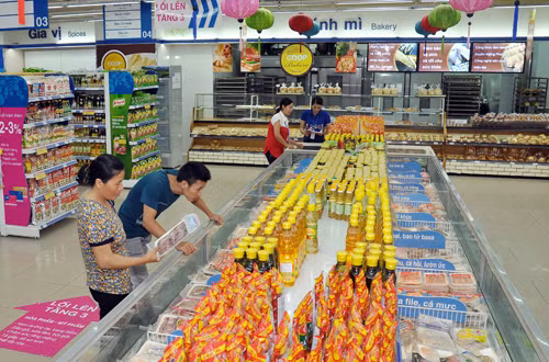 Doanh nghiệp nội ỳ ạch trong cuộc đua bán lẻ ảnh 1