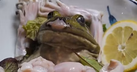 Rợn người món sashimi 'ếch còn giãy' ở Nhật ảnh 1