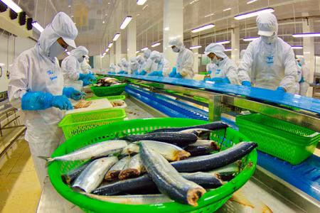  Việt Nam xuất hàng sang Pháp đạt 3 tỷ USD ảnh 1