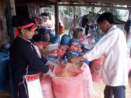 Sức sống mới trên bản nghèo vùng biên ảnh 1