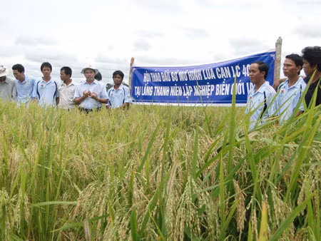 Sức sống mới ở làng thanh niên lập nghiệp la Lốp ảnh 1