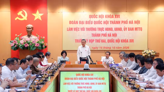 Bản tin ảnh chiều 15/10