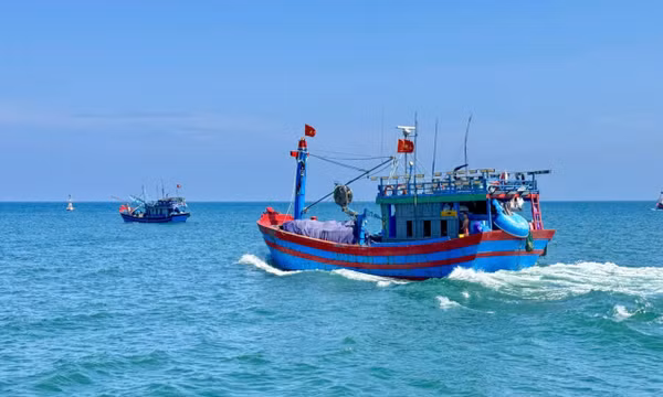 Nâng cao hiệu quả khai thác hải sản nhờ chuẩn hóa đội ngũ ngư dân