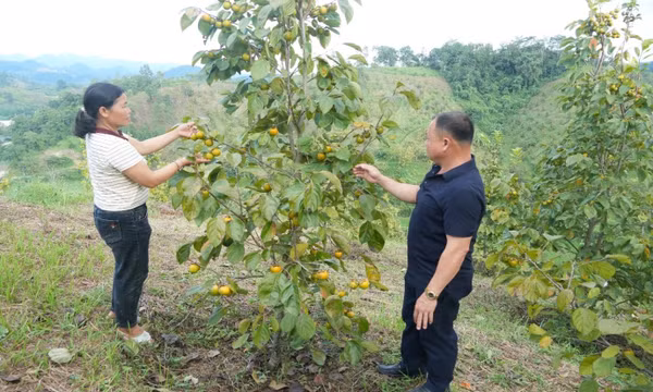 Lạng Sơn đẩy mạnh phát triển nông nghiệp