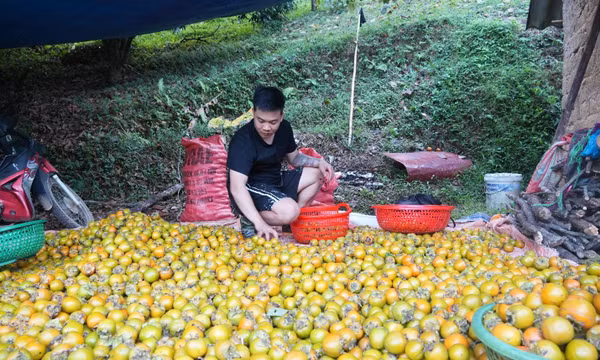 Lạng Sơn: Nghị quyết 02 mở ra hướng đi mới cho người dân xứ Lạng