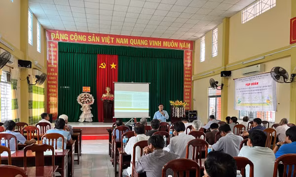 Cần Thơ tổ chức tập huấn sản xuất lúa giảm phát thải cho nông dân