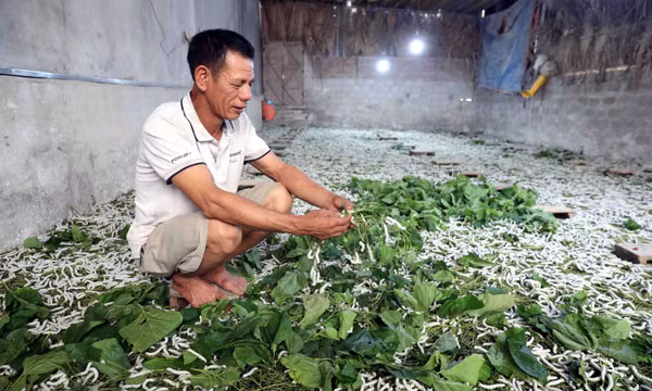 Tuyên Quang phấn đấu giảm nghèo đa chiều 3,5% trong năm 2026