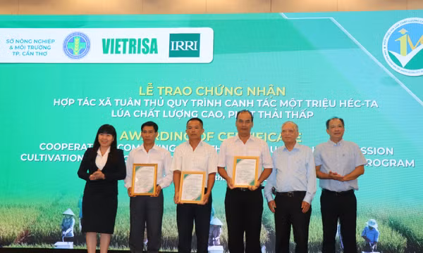 Xây dựng nhãn hiệu 'Gạo Việt Xanh phát thải thấp'