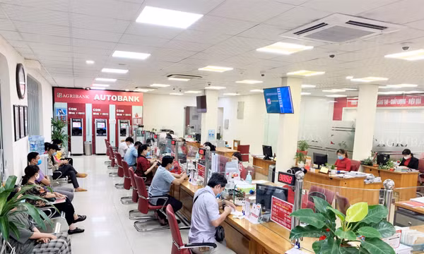 Agribank giảm lãi suất cho vay hỗ trợ phát triển sản xuất kinh doanh