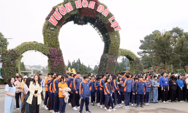 Phường Xuân Hương – Đà Lạt lan tỏa phong trào trồng hoa đón Festival Hoa 2026