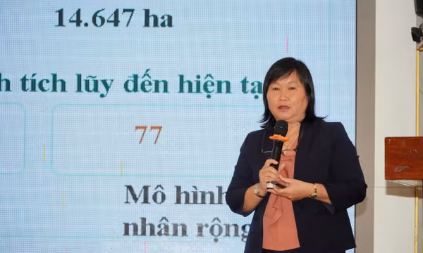  Hơn 14.600 ha lúa chất lượng cao ứng dụng hiệu quả mô hình IPHM