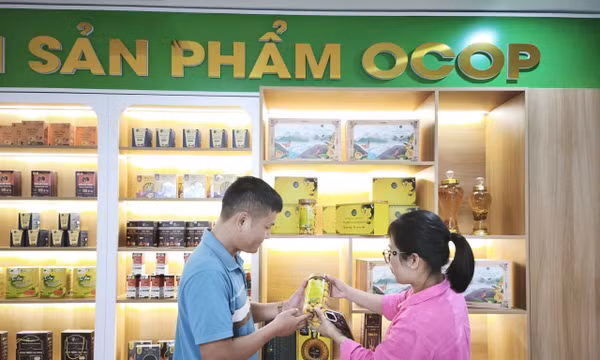 Nâng tầm OCOP Phú Thọ từ chất lượng đến chuỗi giá trị