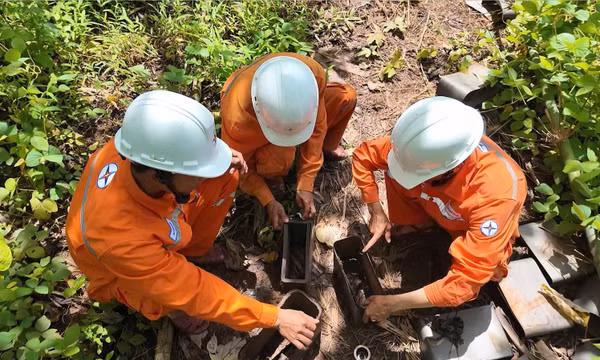Xử lý nghiêm tình trạng trộm cắp vật tư lưới điện
