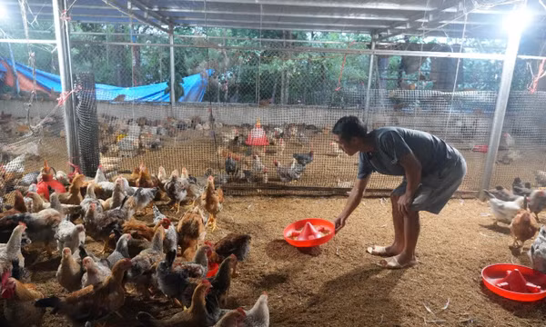 Lạng Sơn khuyến khích phát triển nông nghiệp bền vững