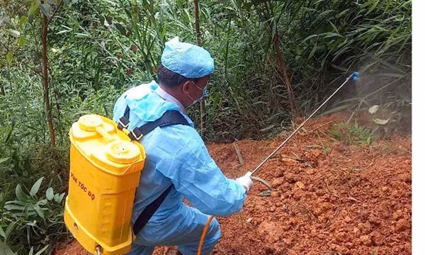 Lạng Sơn đảm bảo an toàn thúc đẩy phát triển chăn nuôi