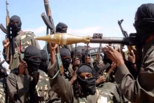 Boko Haram giết hại 48 người tại Đông Bắc Nigeria ảnh 1
