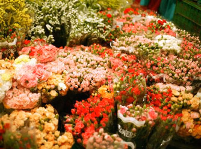Sắc hoa rực rỡ chào mừng ngày nhà giáo Việt Nam ảnh 11
