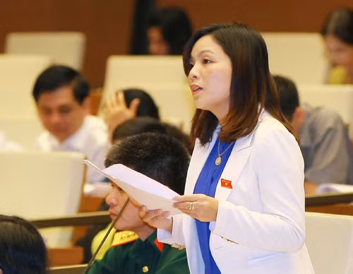 Quốc hội thảo luận dự án Bộ Luật dân sự (sửa đổi) ảnh 3