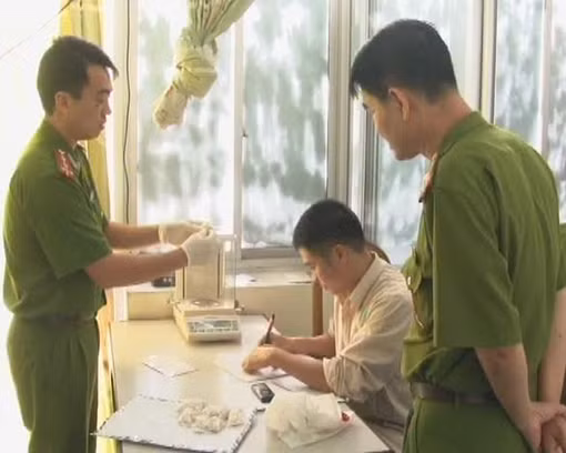 Quy định về giám định hàm lượng chất ma túy:Khó cũng phải làm ảnh 1