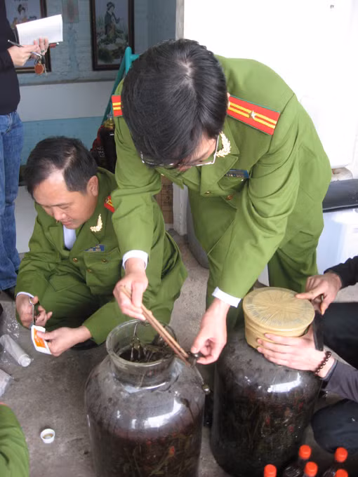 Quy định về giám định hàm lượng chất ma túy:Khó cũng phải làm ảnh 3