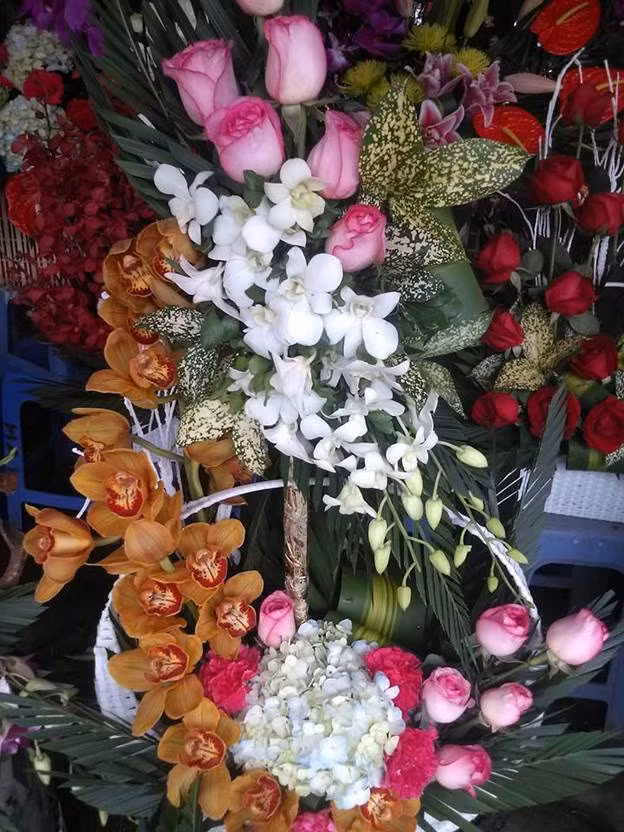 Sắc hoa rực rỡ chào mừng ngày nhà giáo Việt Nam ảnh 10