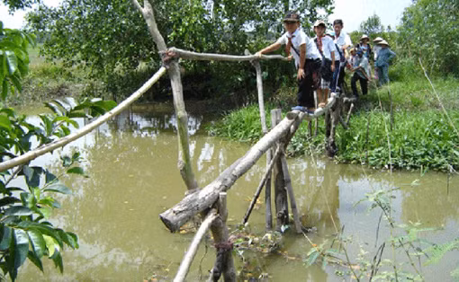 Mơ về những cây cầu khang trang ảnh 1