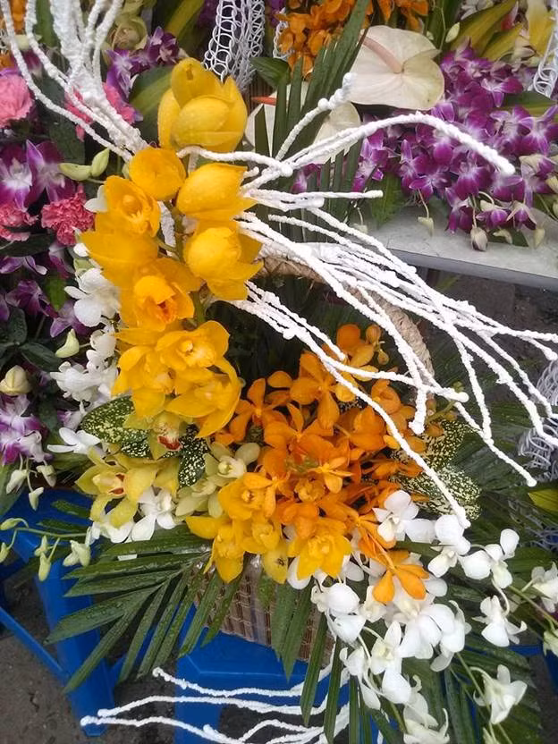 Sắc hoa rực rỡ chào mừng ngày nhà giáo Việt Nam ảnh 9