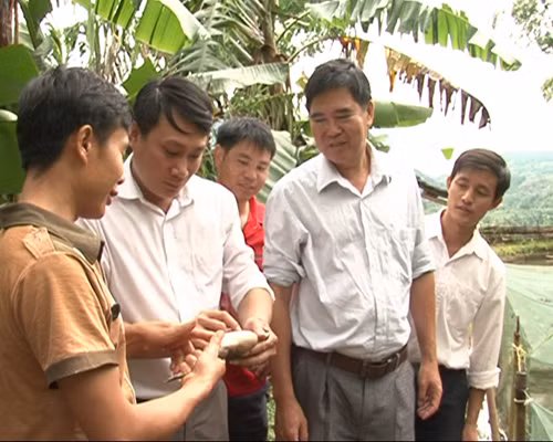 Trí thức trẻ giúp đồng bào vùng cao thoát nghèo ảnh 2