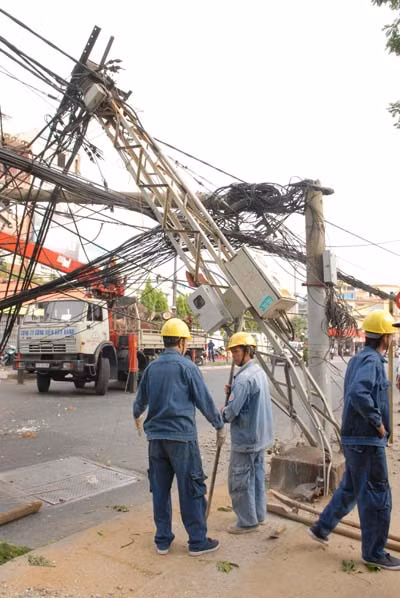 Cây cổ thụ bật gốc kéo đổ cột điện, đè nhà dân ảnh 7