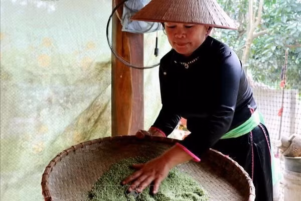 Giữ hồn cốm, nối tiếp nét văn hóa Tày