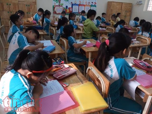  Học sinh tiểu học TP Hồ Chí Minh chỉ sử dụng tối đa 4 quyển vở ảnh 1