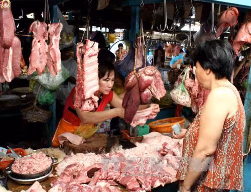 Nghịch lý giá lợn hơi thấp, giá thịt lợn trên thị trường cao ảnh 1