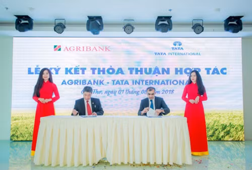 Agribank và Tập đoàn TATA Ấn Độ ký kết thoả thuận hợp tác ảnh 2
