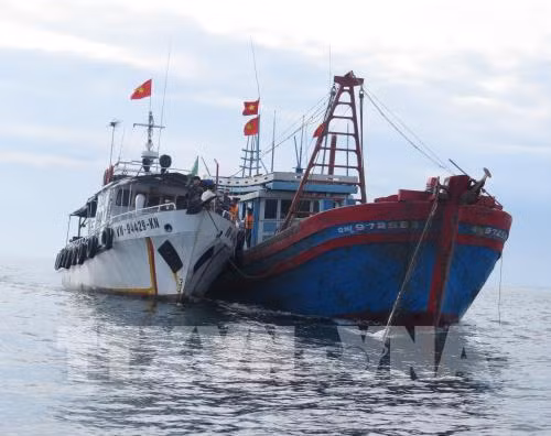 Truy xuất nguồn gốc là mấu chốt để gỡ 'thẻ vàng' thủy sản ảnh 2