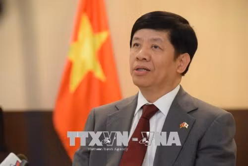 Nỗ lực đưa quan hệ Việt Nam - Nhật Bản lên giai đoạn phát triển mới ảnh 1