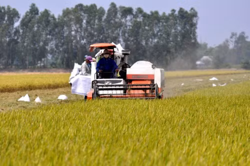 Đồng bằng sông Cửu Long phát triển tăng trưởng xanh ảnh 1