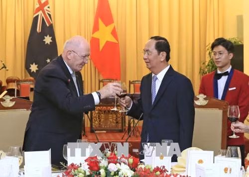 Chủ tịch nước: Việt Nam rất tự hào có một người bạn, một đối tác như Australia ảnh 2
